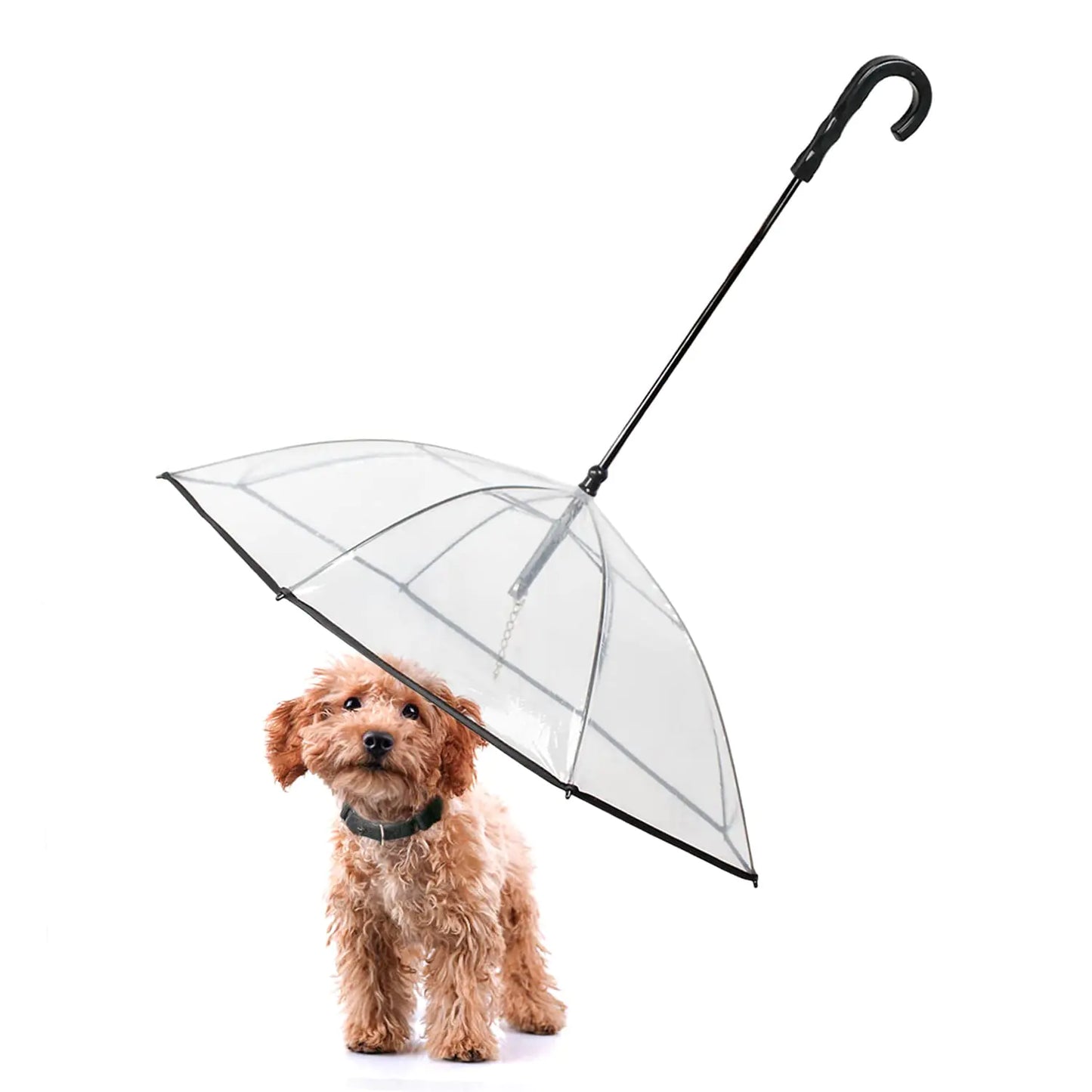 Clear dog umbrella for small dogs