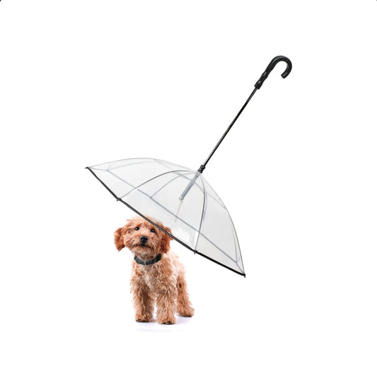 Clear dog umbrella for small dogs